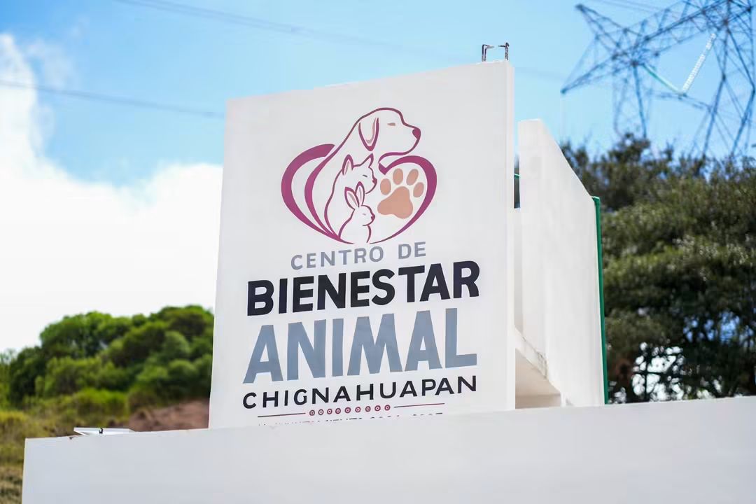 ¡CHIGNAHUAPAN DA UN PASO HISTÓRICO EN LA PROTECCIÓN Y EL BIENESTAR DE LOS SERES SINTIENTES!