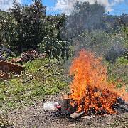 Llevó FGR a cabo evento de incineración de narcóticos y destrucción de objetos de delito en Hidalgo